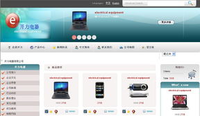 電氣產品企業(yè)網(wǎng)站制作與計算機軟件開發(fā)的任務交流